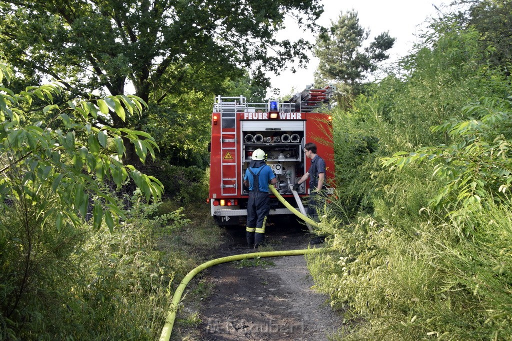 Waldbrand Koeln Hoehenhaus Hoehenfelder Mauspfad P052.JPG - Miklos Laubert